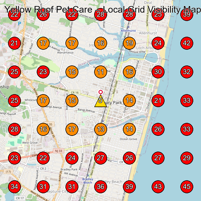 Yellow Roof Pet Care GeoGrid visibility map for Pet Groomer in None